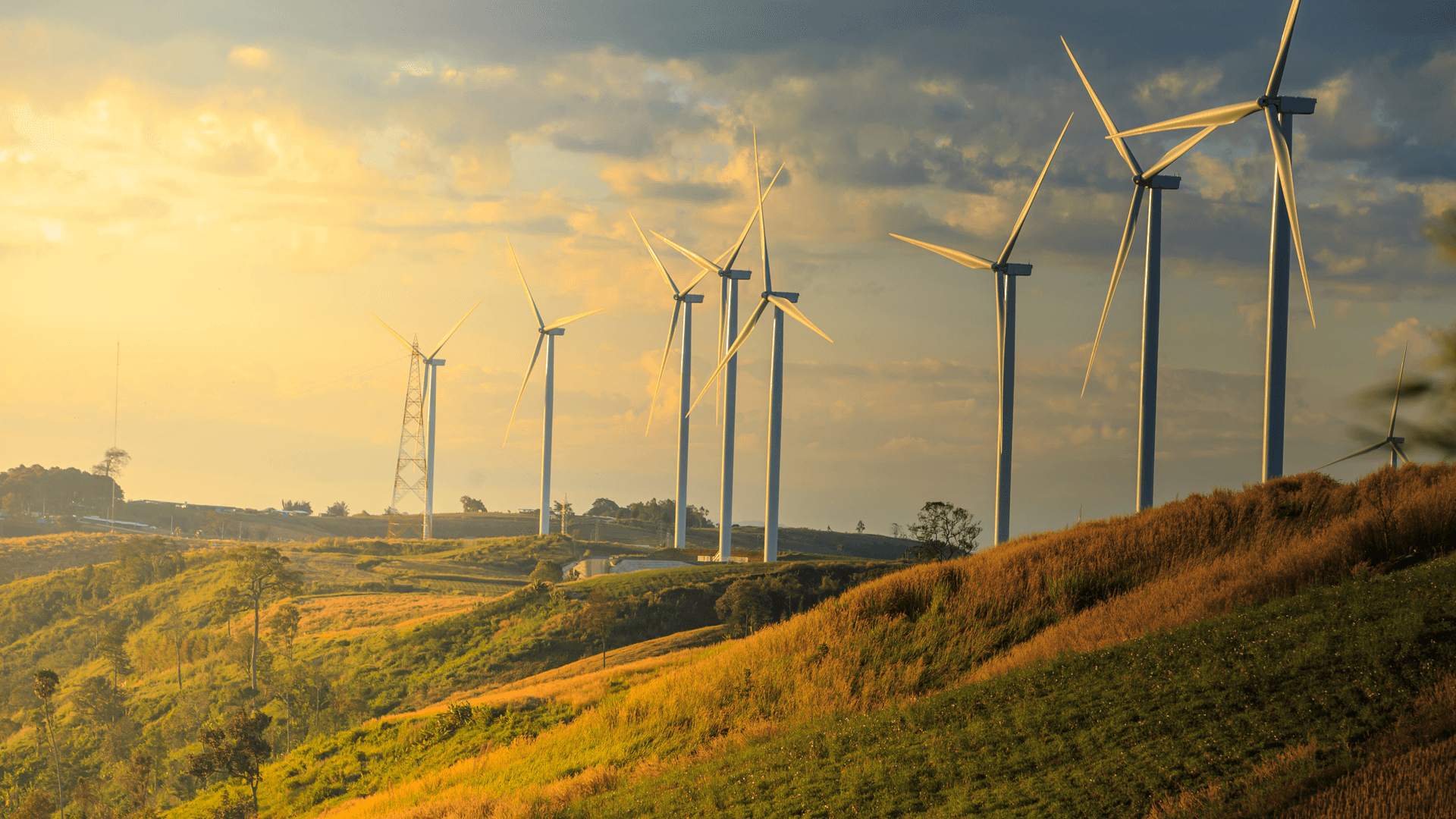 Renewables