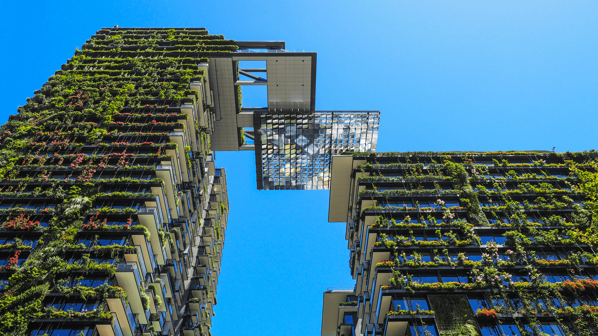 Urban Farming