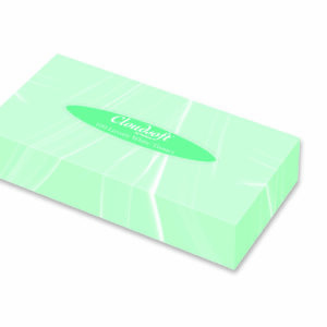 Eco Friendly Cloudsoft Facial Tissues White 2ply (pack of 24 boxes)