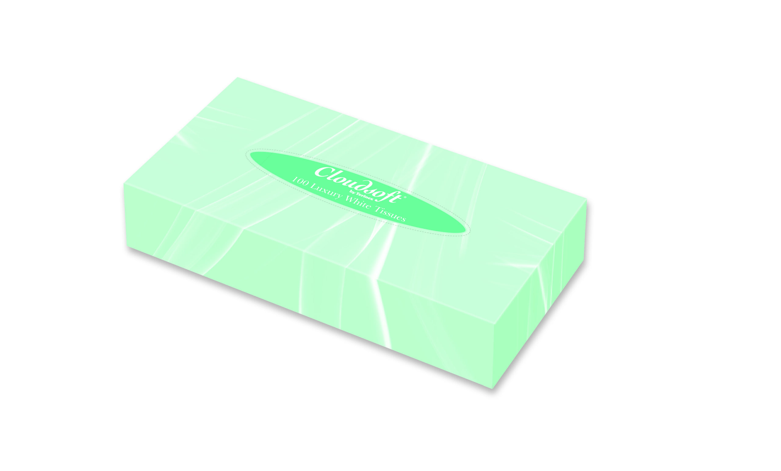 Eco Friendly Cloudsoft Facial Tissues White 2ply (pack of 24 boxes)